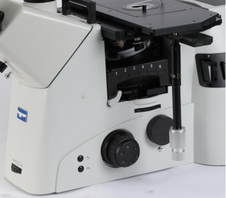顯微鏡染色標本與不染色標本的觀察方法和注意事項